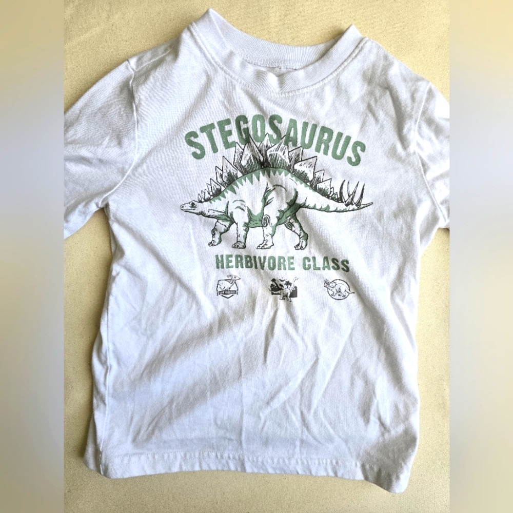 Kids Stegosaurus Graphic Tee - White & Green